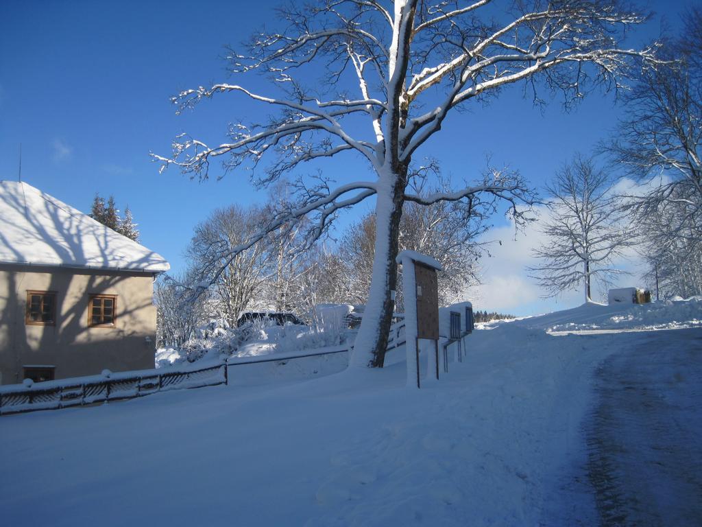 Ubytování Elias Cerna v Posumavi Exterior foto