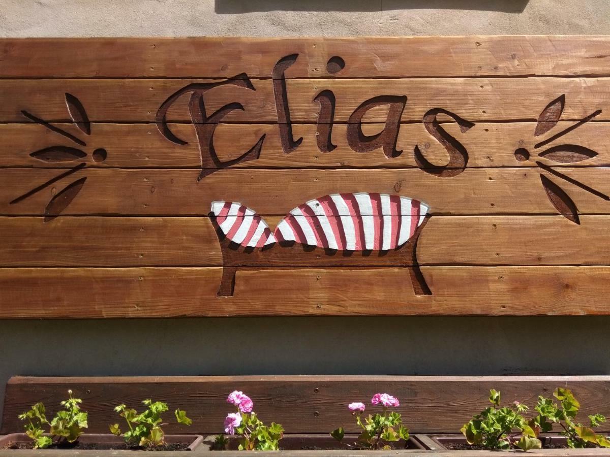 Ubytování Elias Cerna v Posumavi Exterior foto